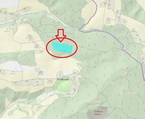 Prodej lesa, Havlovice, 13402 m2