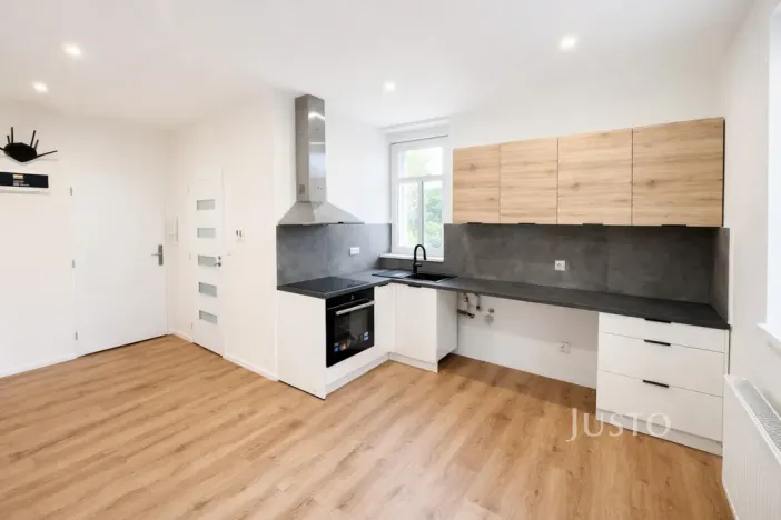 Pronájem bytu 1+1, Velké Březno - Valtířov, 47 m2