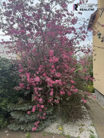 Prodej rodinného domu, Chodov, Nejdecká, 500 m2
