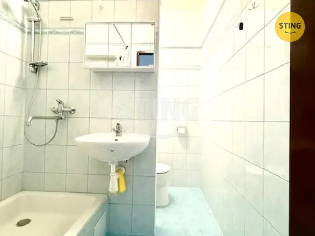 Pronájem bytu 2+1, Hodonín, Jižní, 44 m2