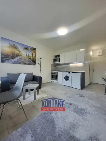 Pronájem bytu 1+kk, České Budějovice, Dobrovodská, 21 m2