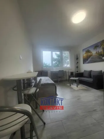 Pronájem bytu 1+kk, České Budějovice, Dobrovodská, 21 m2