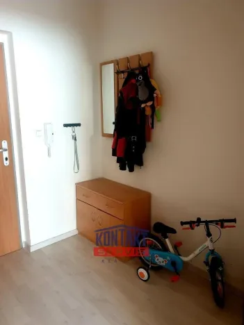 Pronájem bytu 2+kk, České Budějovice - České Budějovice 3, 45 m2