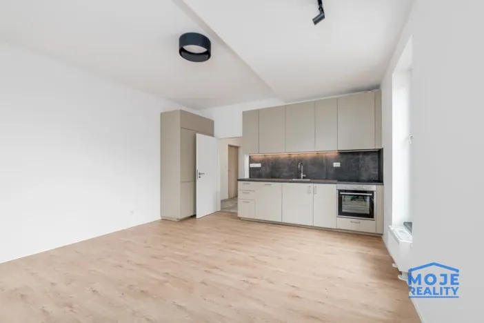 Pronájem bytu 3+kk, Plzeň - Jižní Předměstí, Železná, 59 m2