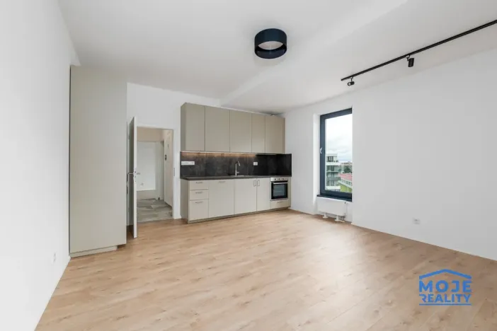 Pronájem bytu 3+kk, Plzeň - Jižní Předměstí, Železná, 59 m2