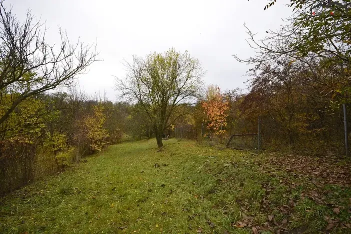 Prodej zahrady, Hostěrádky-Rešov, 705 m2