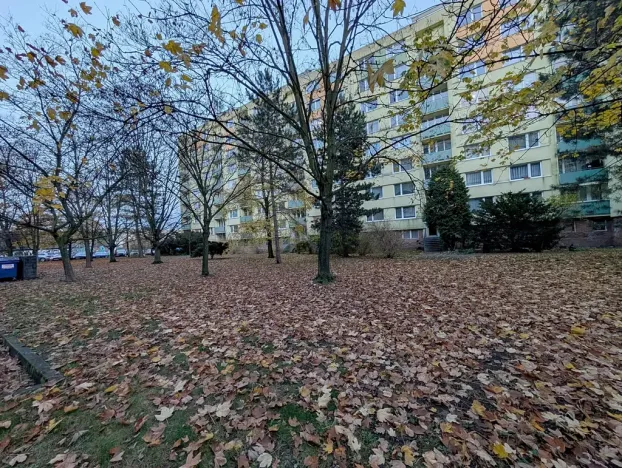 Prodej bytu 3+kk, Mladá Boleslav, U stadionu, 81 m2