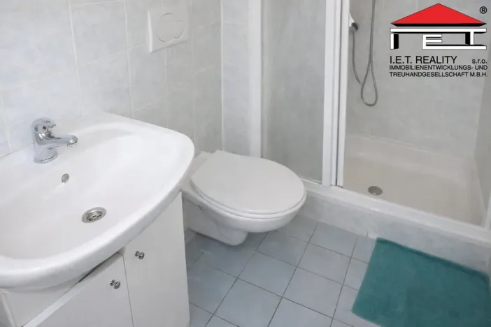 Pronájem bytu 1+kk, Brno, Bezručova, 20 m2