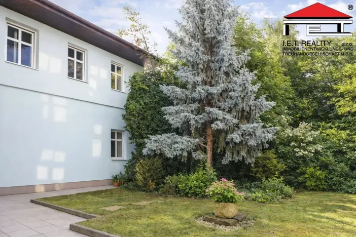 Pronájem bytu 1+kk, Brno, Bezručova, 20 m2