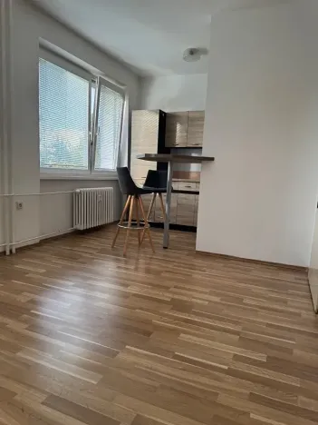 Prodej bytu 1+kk, Ostrava, Heleny Salichové, 27 m2
