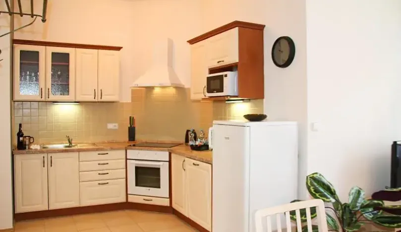 Pronájem bytu 2+kk, Praha - Vinohrady, Na Kozačce, 48 m2