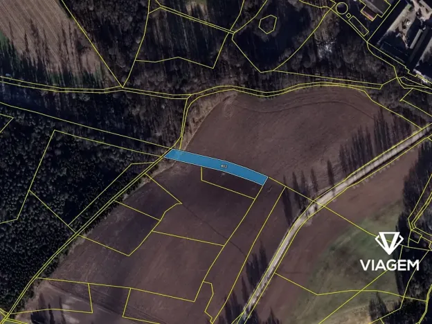 Prodej pole, Nová Olešná, 2410 m2