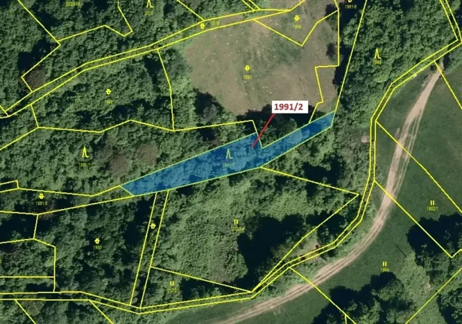 Dražba lesa, Hovězí, 933 m2