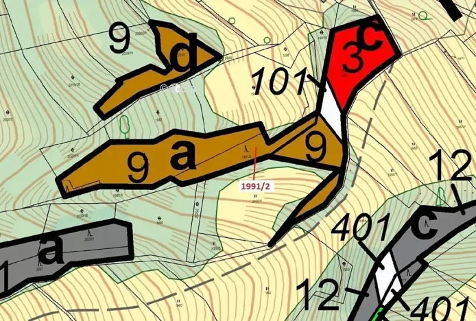 Dražba lesa, Hovězí, 933 m2