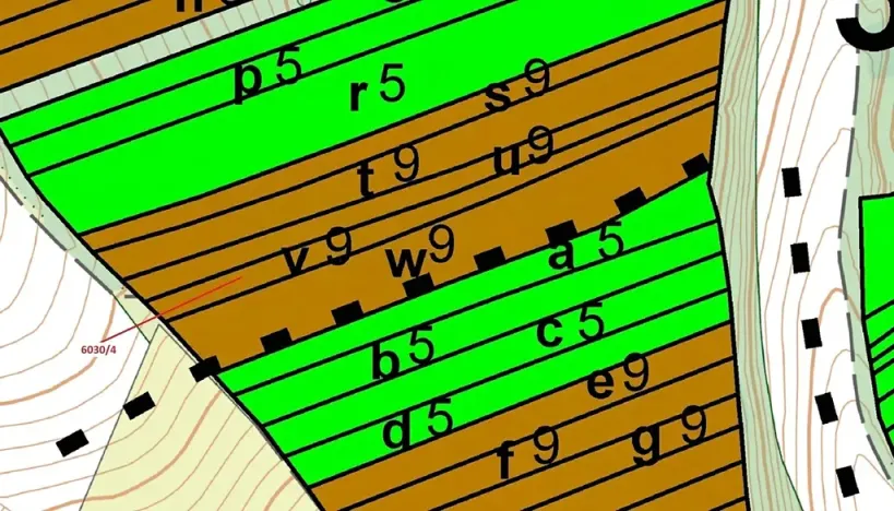 Dražba lesa, Archlebov, 2108 m2