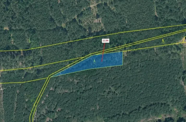 Dražba lesa, Jesenice, 1636 m2