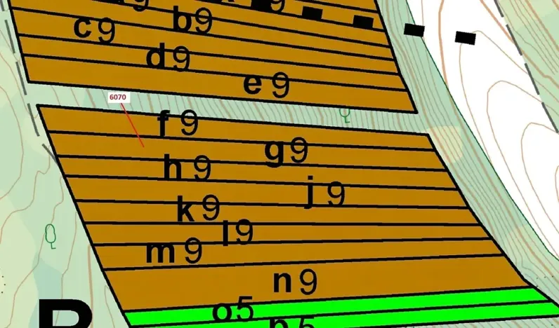 Dražba lesa, Archlebov, 2892 m2