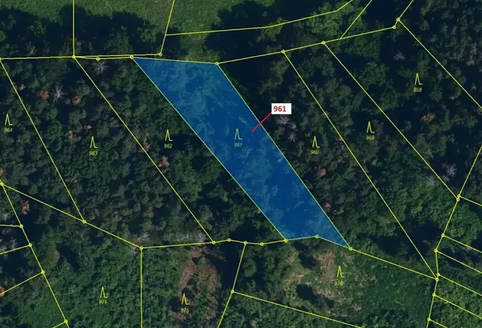 Dražba lesa, Mladoňovice, 961 m2