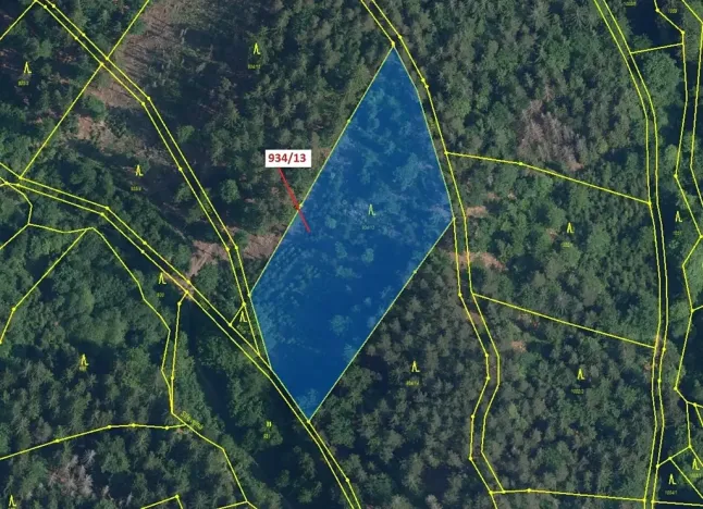 Dražba lesa, Jílové u Držkova, 6213 m2