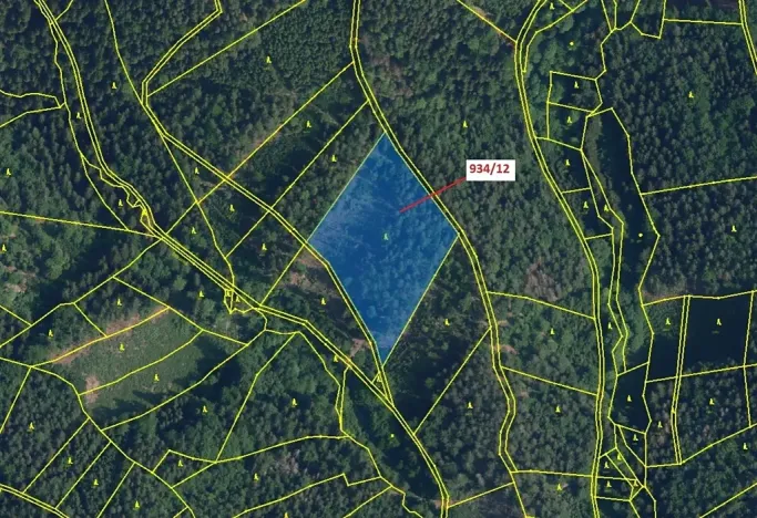 Dražba lesa, Jílové u Držkova, 10166 m2