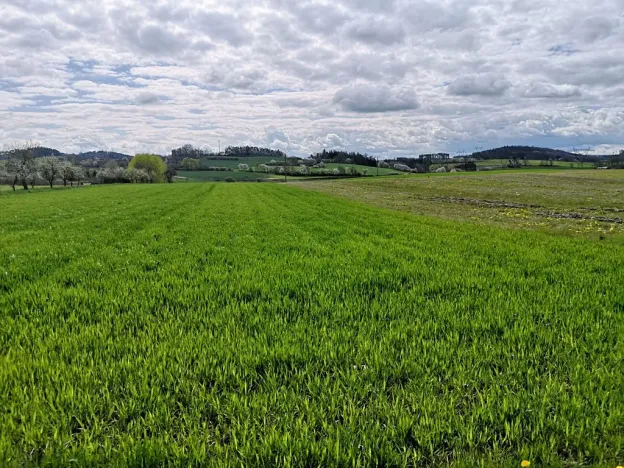 Prodej pozemku pro bydlení, Radomyšl, 10800 m2