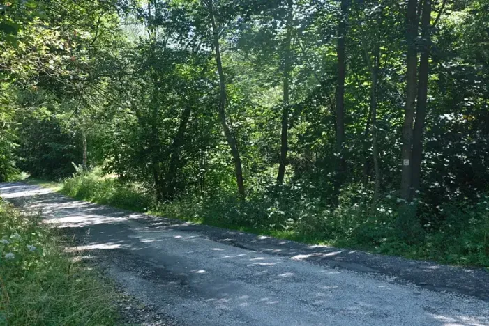 Prodej louky, Vyškovec, 4953 m2