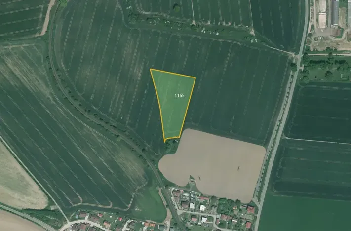 Prodej podílu pole, Poběžovice, 60318 m2