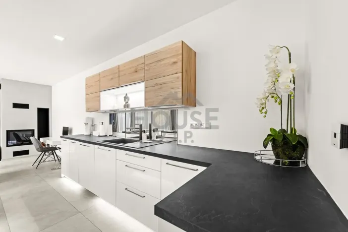 Pronájem rodinného domu, Králův Dvůr - Levín, Na Vyhlídce, 201 m2