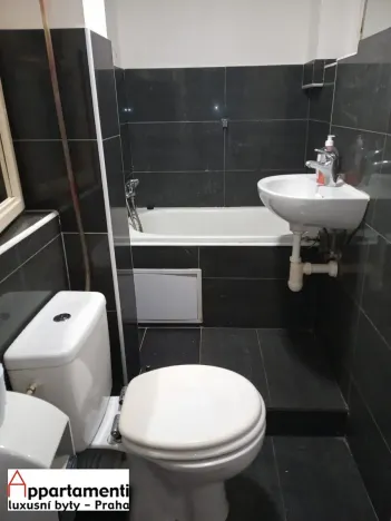 Pronájem bytu 1+1, Praha - Žižkov, Vlkova, 50 m2