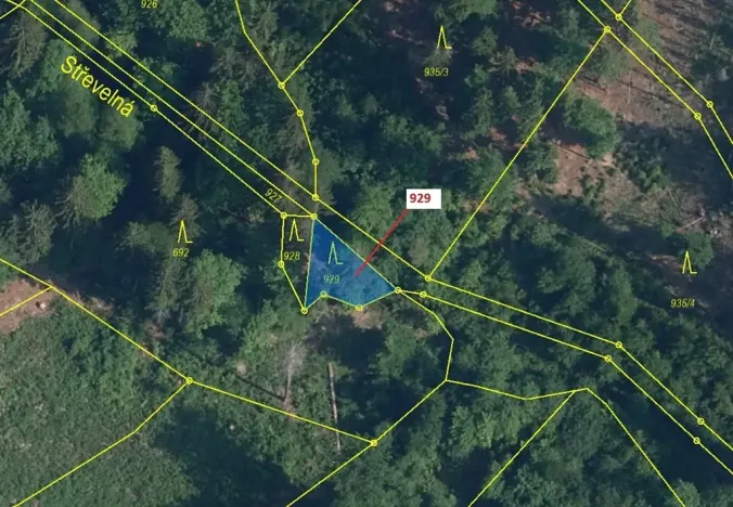 Dražba lesa, Jílové u Držkova, 151 m2