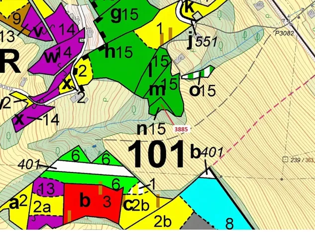 Dražba lesa, Semily, 561 m2