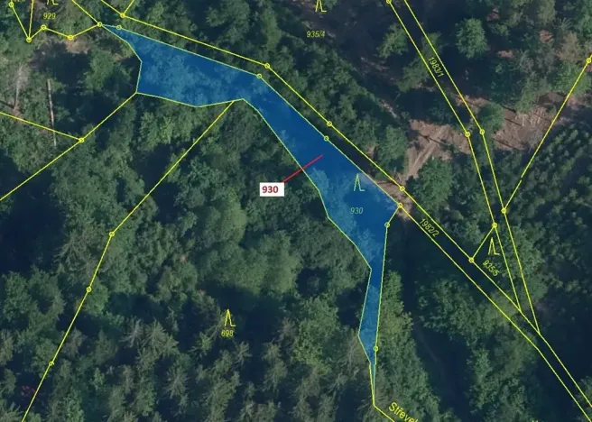 Dražba lesa, Jílové u Držkova, 967 m2