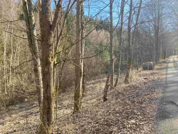 Dražba pozemku, Čachrov, 10377 m2