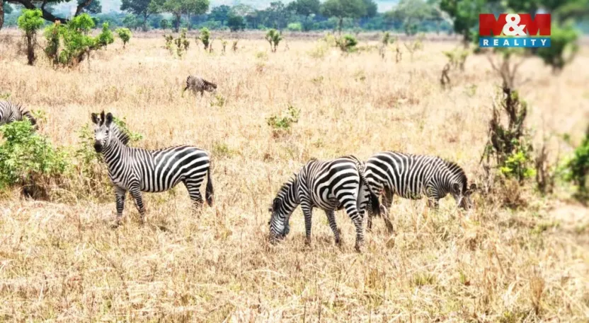 Prodej rodinného domu, Ostrov, Klínovecká, 115 m2