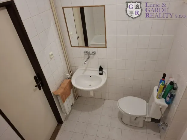 Pronájem bytu 1+1, Vysoký Chlumec, 33 m2