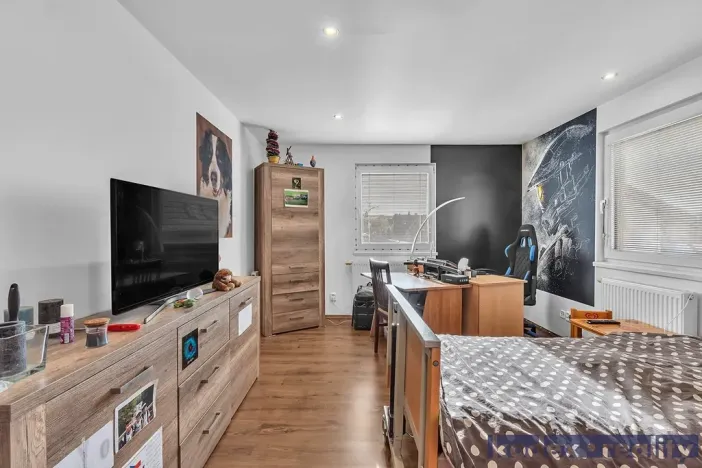 Prodej rodinného domu, Hradec Králové, U Jednoty, 300 m2