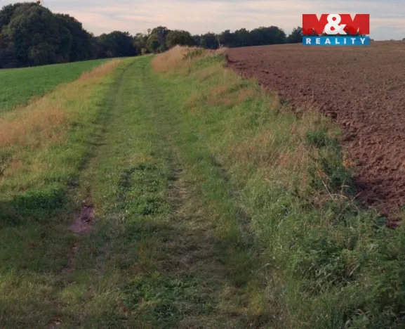 Prodej pole, Bratčice, 19072 m2