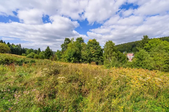 Prodej louky, Bedřichov