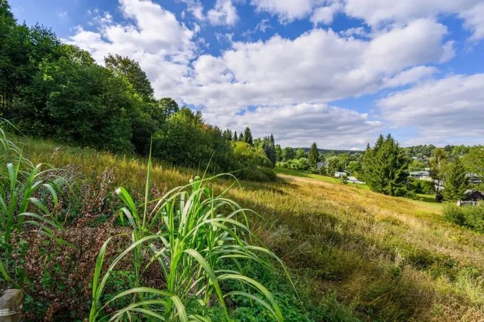 Prodej louky, Bedřichov