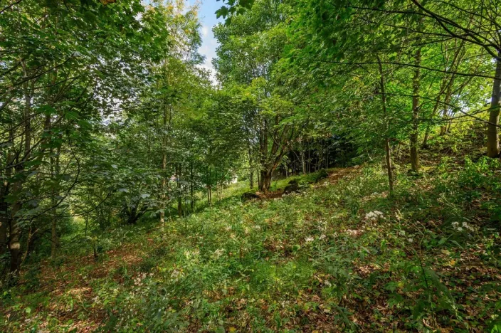 Prodej louky, Bedřichov