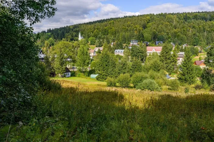 Prodej louky, Bedřichov