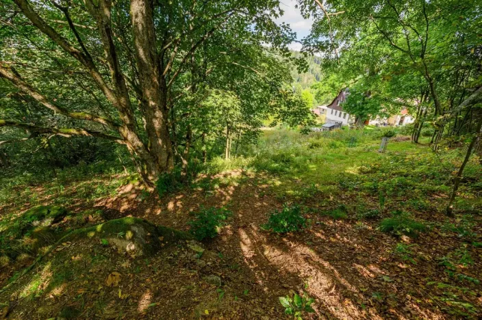 Prodej louky, Bedřichov