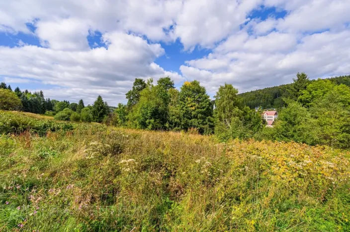 Prodej louky, Bedřichov, 5250 m2