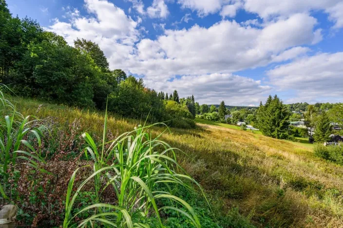 Prodej louky, Bedřichov, 5250 m2