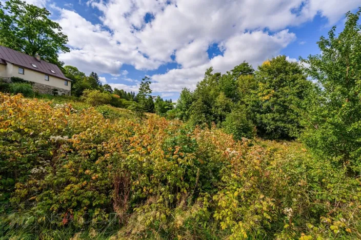 Prodej louky, Bedřichov, 5250 m2