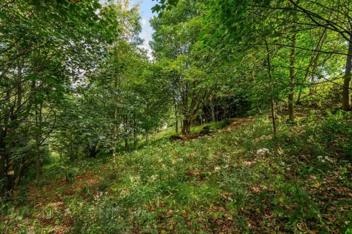 Prodej louky, Bedřichov, 5250 m2