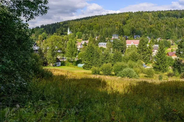 Prodej louky, Bedřichov, 5250 m2