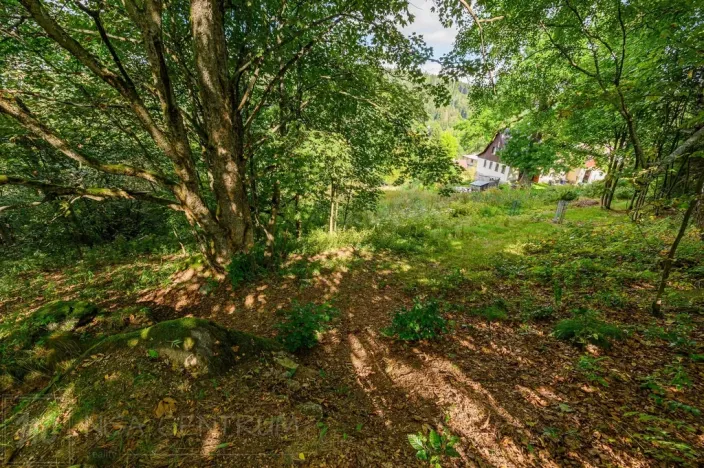 Prodej louky, Bedřichov, 5250 m2