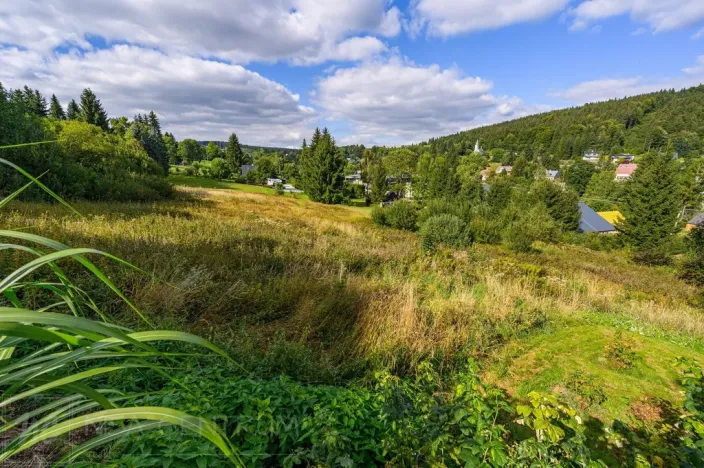 Prodej louky, Bedřichov, 5250 m2