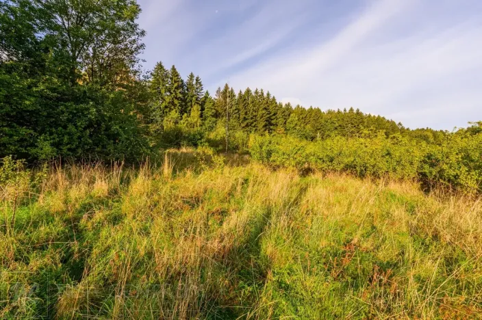 Prodej pozemku pro bydlení, Liberec - Liberec XIX-Horní Hanychov, 1533 m2
